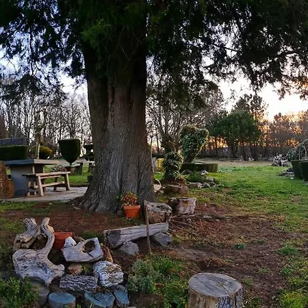 A Casa De Carmen