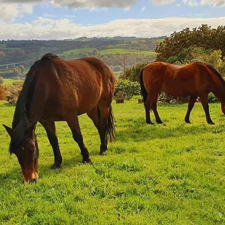 Albergue A Casa De Carmen Sarria