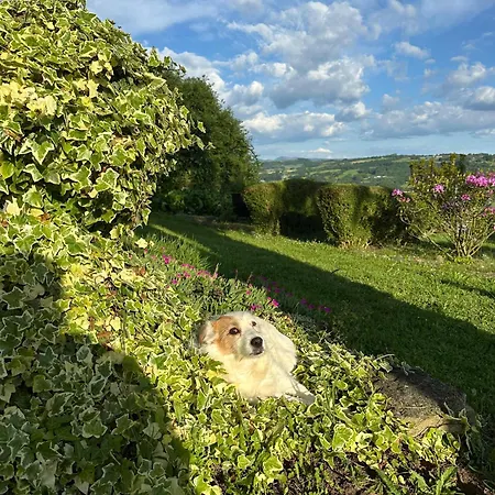 A Casa De Carmen ساريا