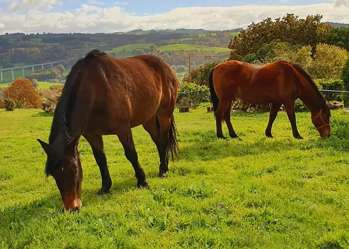 Vandrarhem A Casa De Carmen Sarria